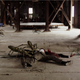 Illustration for article titled Exclusive clip from emCamel Spiders/em, the movie inspired by the Iraq Spider Email Hoax